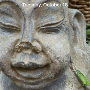 Meet your Posher, Anne